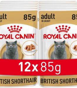 Royal Canin Adult British Shorthair Nassfutter, 12 x 85 g